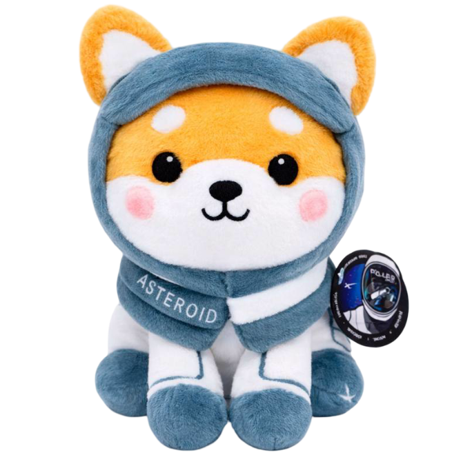 Baby Asteroid Shiba