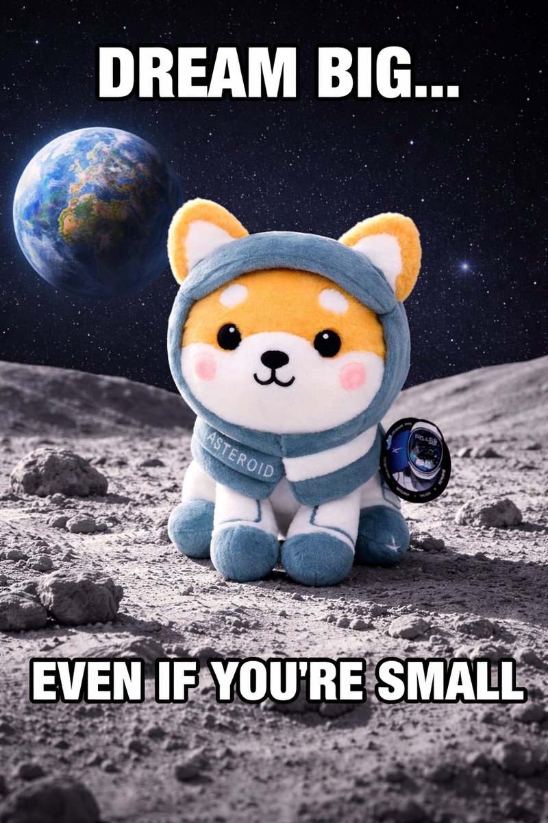 Baby Asteroid Shiba